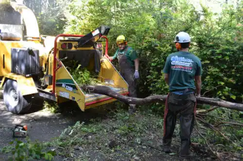 tree services Mokelumne Hill